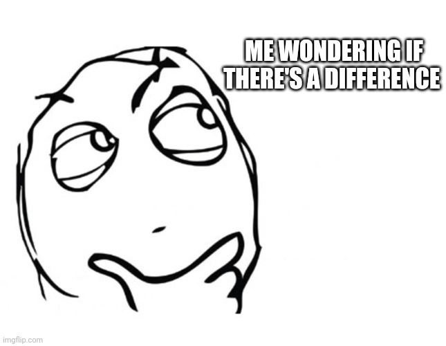 hmmm | ME WONDERING IF THERE'S A DIFFERENCE | image tagged in hmmm | made w/ Imgflip meme maker