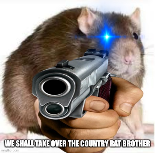 WE SHALL TAKE OVER THE COUNTRY BY VIA RAT REVOLUTION | WE SHALL TAKE OVER THE COUNTRY RAT BROTHER | image tagged in rat,rat revolution,the rat revolution needs u | made w/ Imgflip meme maker