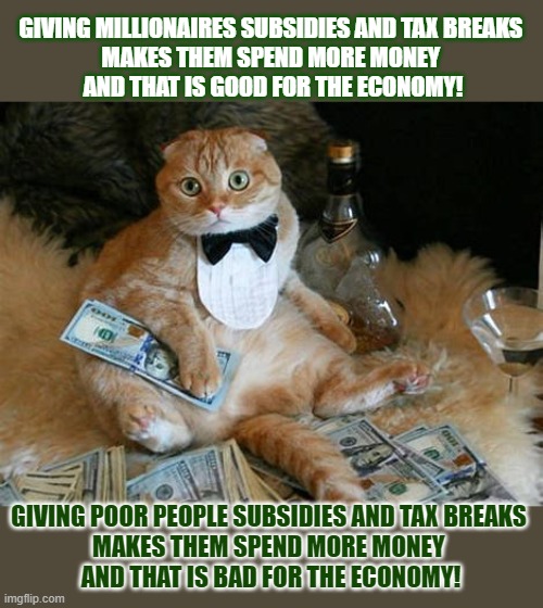 This #lolcat wonders if spending more money is good or bad for the economy | GIVING MILLIONAIRES SUBSIDIES AND TAX BREAKS 
MAKES THEM SPEND MORE MONEY 
AND THAT IS GOOD FOR THE ECONOMY! GIVING POOR PEOPLE SUBSIDIES AND TAX BREAKS 
MAKES THEM SPEND MORE MONEY 
AND THAT IS BAD FOR THE ECONOMY! | image tagged in lolcat,money,economics,capitalism,think about it,tax cuts | made w/ Imgflip meme maker