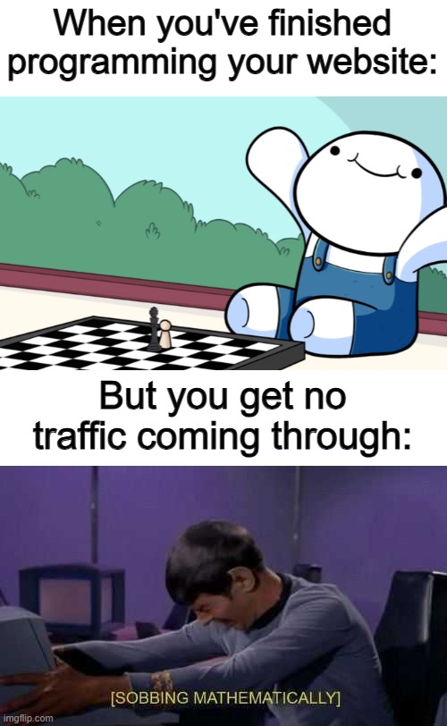 All that torture for nothing ;-; | When you've finished programming your website:; But you get no traffic coming through: | image tagged in sobbing mathematically | made w/ Imgflip meme maker
