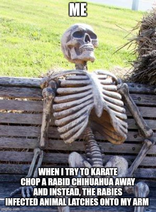 No, I've never tried to karate chop a rabid Chihuahua | ME; WHEN I TRY TO KARATE CHOP A RABID CHIHUAHUA AWAY AND INSTEAD, THE RABIES INFECTED ANIMAL LATCHES ONTO MY ARM | image tagged in memes,waiting skeleton | made w/ Imgflip meme maker