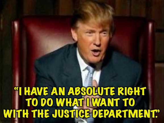 Don't like DOJ?  Blame this guy, the original weaponizer. | “I HAVE AN ABSOLUTE RIGHT 
TO DO WHAT I WANT TO 
WITH THE JUSTICE DEPARTMENT.” | image tagged in donald trump | made w/ Imgflip meme maker