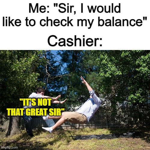 Yeah, no kidding :I | Me: "Sir, I would like to check my balance"; Cashier:; "IT'S NOT THAT GREAT SIR" | made w/ Imgflip meme maker