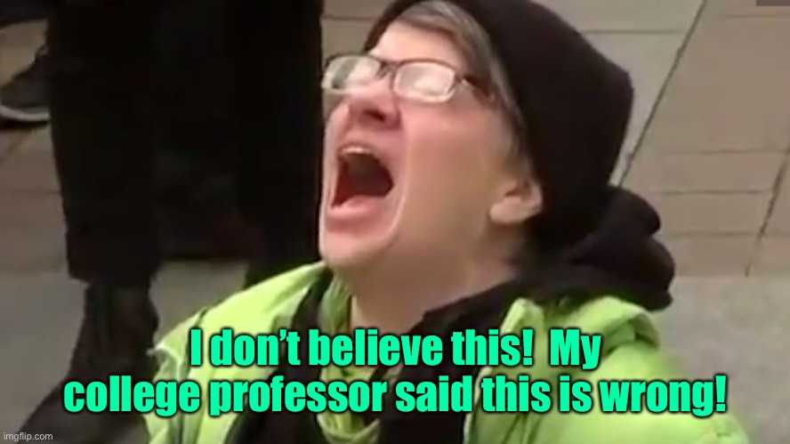 Screaming Liberal  | I don’t believe this!  My college professor said this is wrong! | image tagged in screaming liberal | made w/ Imgflip meme maker