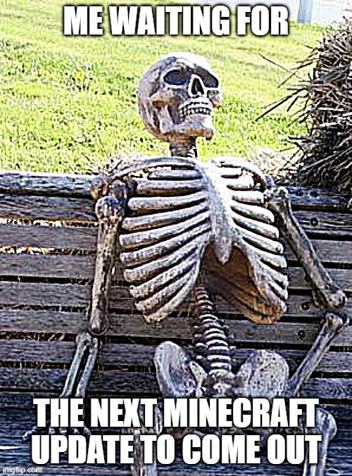 Waiting for the next update | ME WAITING FOR; THE NEXT MINECRAFT UPDATE TO COME OUT | image tagged in memes,waiting skeleton | made w/ Imgflip meme maker