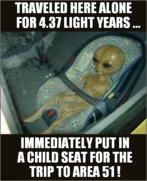 Unimpressed Alien From Alpha Centauri | TRAVELED HERE ALONE 
   FOR 4.37 LIGHT YEARS ... IMMEDIATELY PUT IN
 A CHILD SEAT FOR THE 
TRIP TO AREA 51 ! | image tagged in aliens,area 51,child seat,unimpressed | made w/ Imgflip meme maker