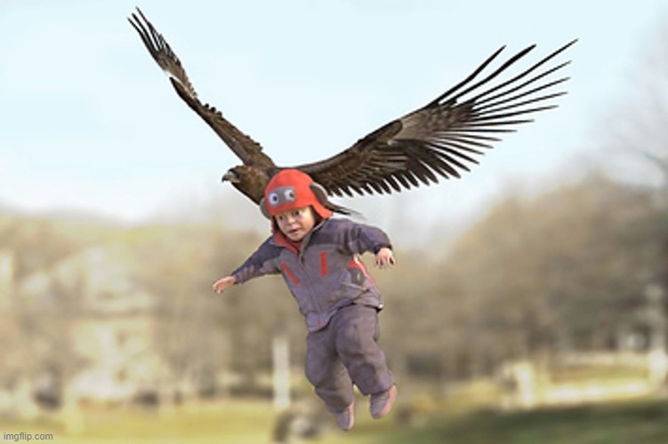 Bird Snatching Child | image tagged in bird,eagle,child,swoop,animal attack | made w/ Imgflip meme maker
