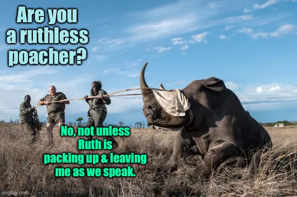 Poacher | Are you a ruthless poacher? No, not unless Ruth is packing up & leaving me as we speak. | image tagged in poacher | made w/ Imgflip meme maker