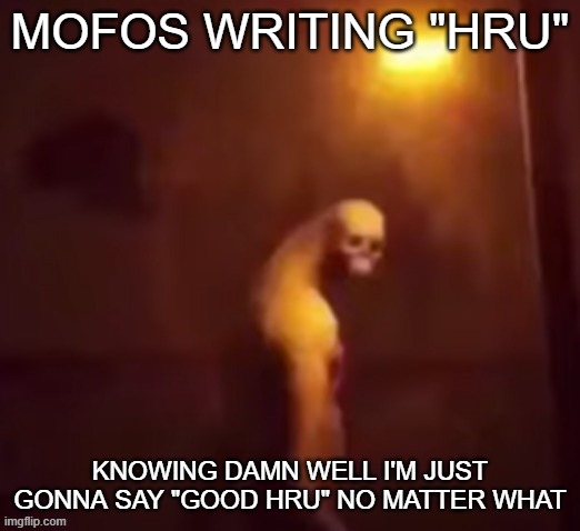 Your IP Address Is On The Internet | MOFOS WRITING "HRU"; KNOWING DAMN WELL I'M JUST GONNA SAY "GOOD HRU" NO MATTER WHAT | image tagged in your ip address is on the internet | made w/ Imgflip meme maker