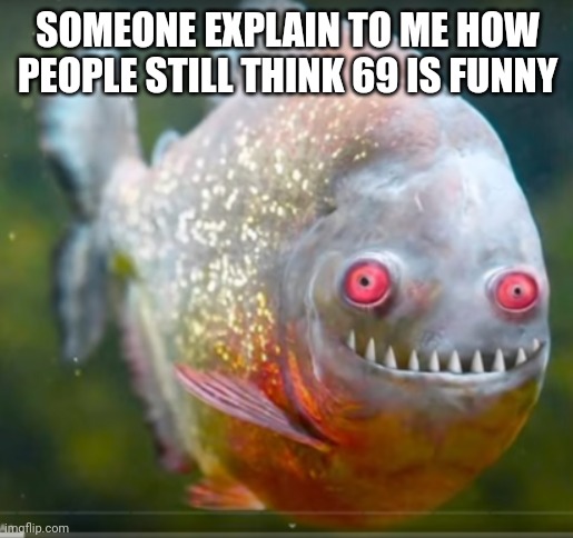 It was never funny | SOMEONE EXPLAIN TO ME HOW PEOPLE STILL THINK 69 IS FUNNY | image tagged in memes | made w/ Imgflip meme maker