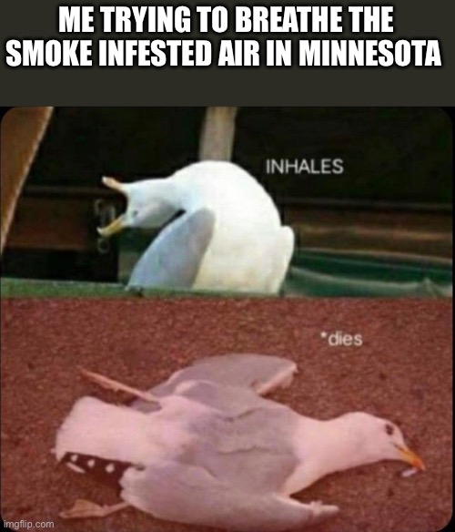 I cannot breathe | ME TRYING TO BREATHE THE SMOKE INFESTED AIR IN MINNESOTA | image tagged in inhales dies bird | made w/ Imgflip meme maker