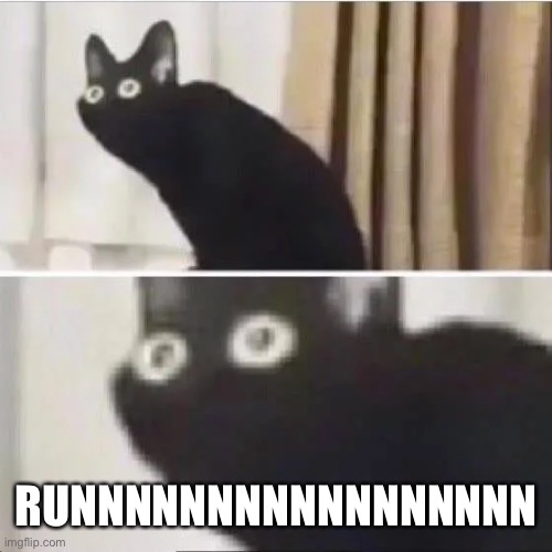 Scared cat | RUNNNNNNNNNNNNNNNNN | image tagged in scared cat | made w/ Imgflip meme maker