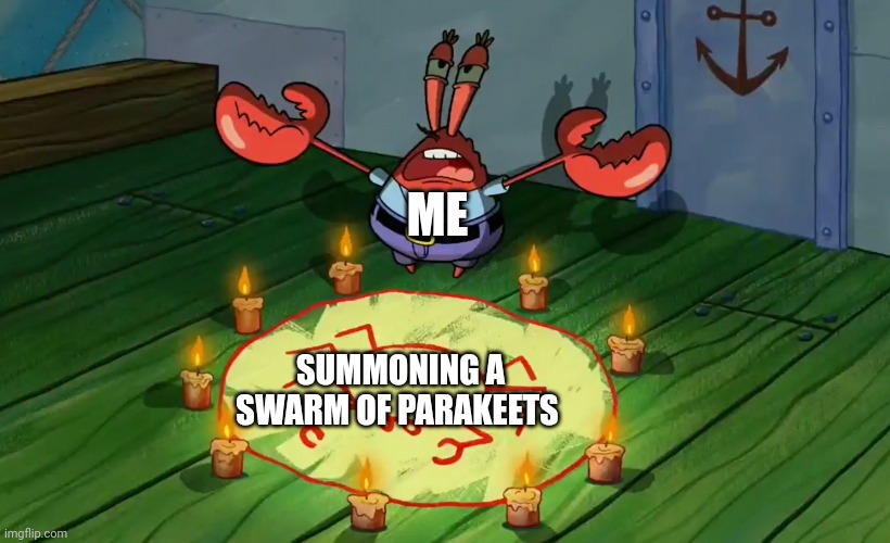 A swarm of parakeets | ME; SUMMONING A SWARM OF PARAKEETS | image tagged in mr krabs summoning | made w/ Imgflip meme maker