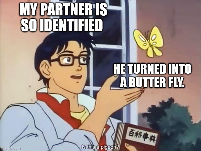 Extreme | MY PARTNER IS SO IDENTIFIED; HE TURNED INTO A BUTTER FLY. | image tagged in anime butterfly meme,lgbtq | made w/ Imgflip meme maker