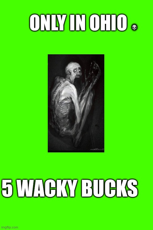 5 Wacky Bucks | ONLY IN OHIO 💀; 5 WACKY BUCKS | made w/ Imgflip meme maker