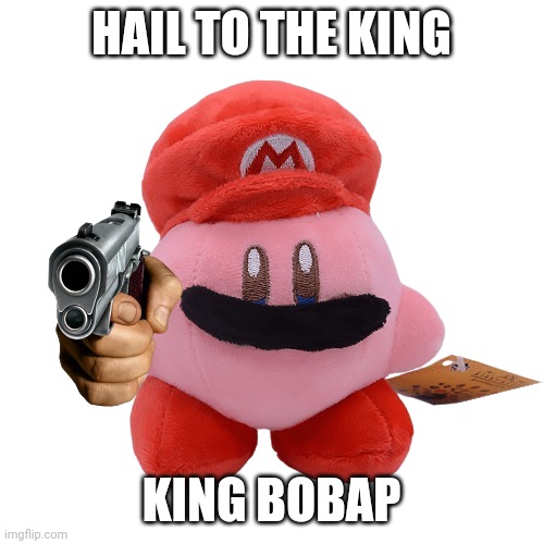 The bobaps return | HAIL TO THE KING; KING BOBAP | image tagged in the bobap return | made w/ Imgflip meme maker