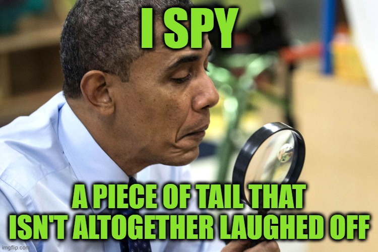 I SPY A PIECE OF TAIL THAT ISN'T ALTOGETHER LAUGHED OFF | made w/ Imgflip meme maker