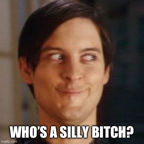 Tobey Maguire silly | WHO’S A SILLY BITCH? | image tagged in tobey maguire silly | made w/ Imgflip meme maker
