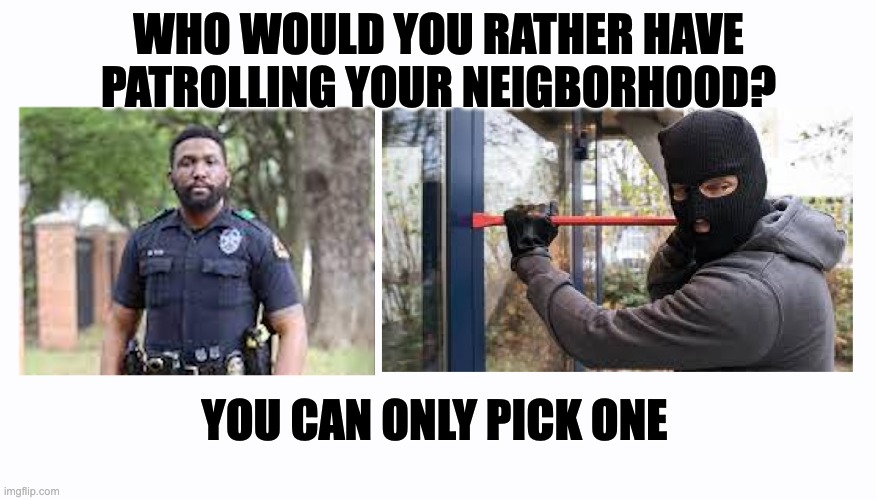 WHO WOULD YOU RATHER HAVE PATROLLING YOUR NEIGBORHOOD? YOU CAN ONLY PICK ONE | image tagged in defund,defend,law and order,stop anarchy | made w/ Imgflip meme maker