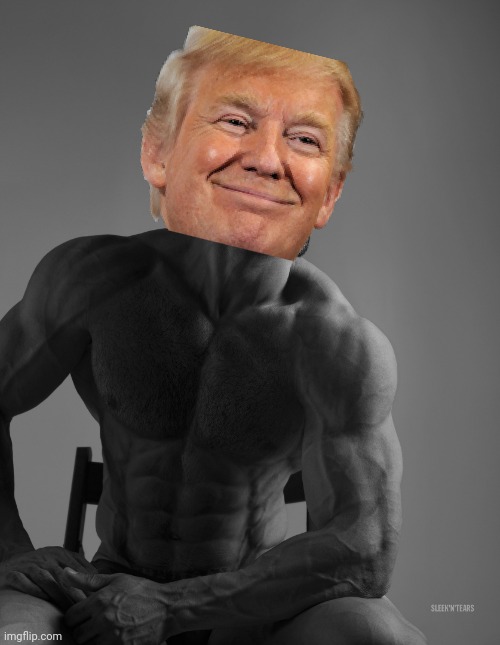 Giga Chad | image tagged in giga chad | made w/ Imgflip meme maker