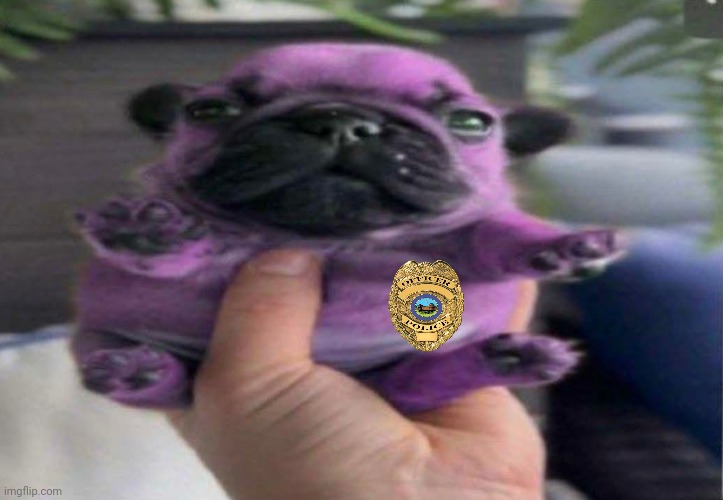 The pug behind the slaughter | image tagged in fnaf,memes,funny,cute,pug | made w/ Imgflip meme maker