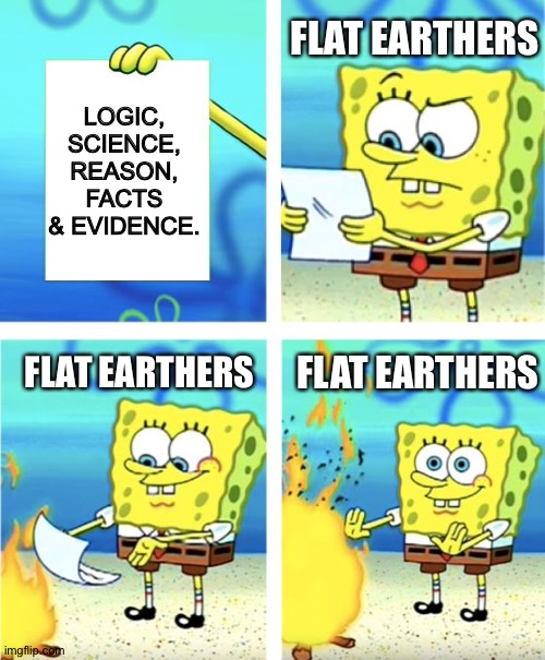 Flat Earthers be like | FLAT EARTHERS; LOGIC, SCIENCE, REASON, FACTS & EVIDENCE. FLAT EARTHERS; FLAT EARTHERS | image tagged in spongebob burning paper | made w/ Imgflip meme maker