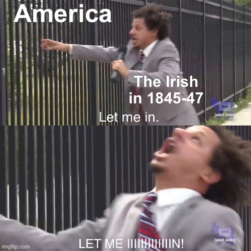 let me in | America; The Irish in 1845-47 | image tagged in let me in | made w/ Imgflip meme maker