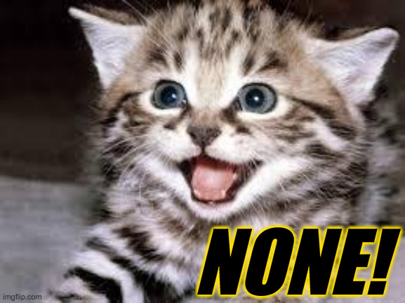 happy cat | NONE! | image tagged in happy cat | made w/ Imgflip meme maker