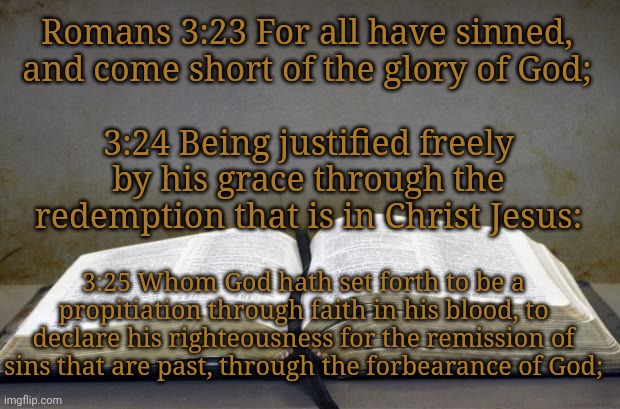 Bible | Romans 3:23 For all have sinned, and come short of the glory of God; 3:24 Being justified freely by his grace through the redemption that is | image tagged in bible | made w/ Imgflip meme maker