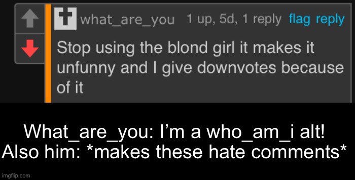 This guy is really ironic | What_are_you: I’m a who_am_i alt!
Also him: *makes these hate comments* | made w/ Imgflip meme maker