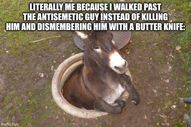 Asshole | LITERALLY ME BECAUSE I WALKED PAST THE ANTISEMETIC GUY INSTEAD OF KILLING HIM AND DISMEMBERING HIM WITH A BUTTER KNIFE: | image tagged in asshole | made w/ Imgflip meme maker