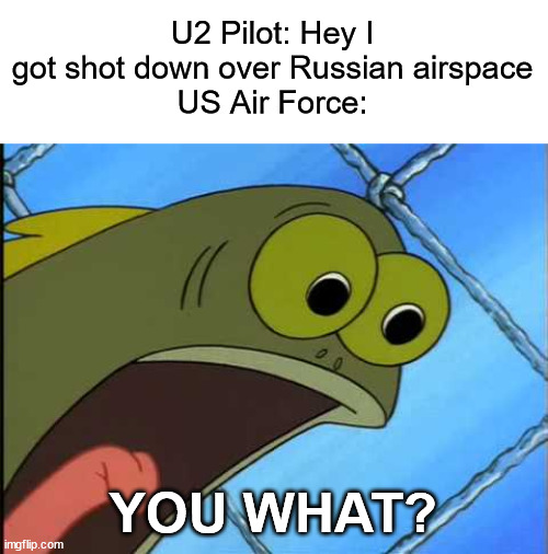 YOU WHAT? | U2 Pilot: Hey I got shot down over Russian airspace
US Air Force:; YOU WHAT? | image tagged in you what,history | made w/ Imgflip meme maker