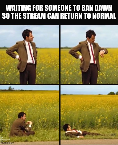 Just get it over with. | WAITING FOR SOMEONE TO BAN DAWN SO THE STREAM CAN RETURN TO NORMAL | image tagged in mr bean waiting | made w/ Imgflip meme maker