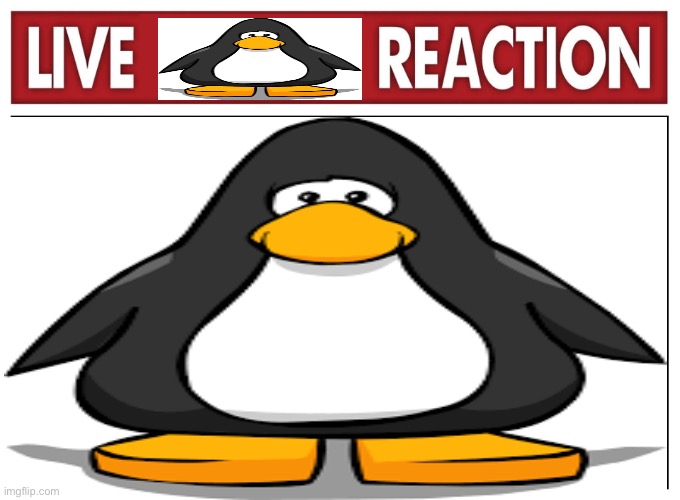 Live penguin reaction | image tagged in club penguin,live reaction | made w/ Imgflip meme maker