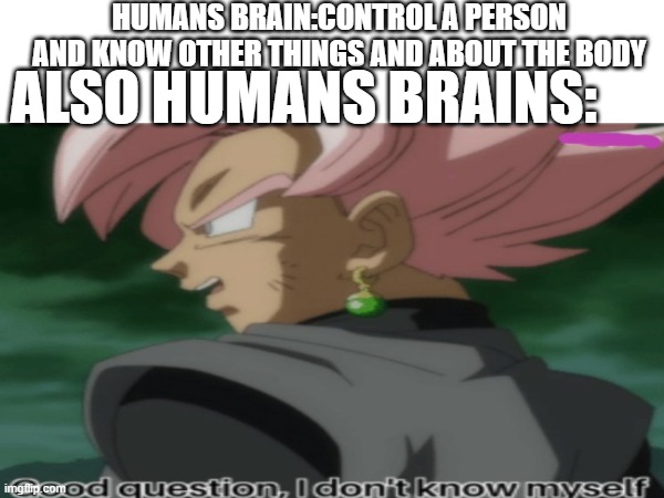 brain | HUMANS BRAIN:CONTROL A PERSON AND KNOW OTHER THINGS AND ABOUT THE BODY; ALSO HUMANS BRAINS: | image tagged in idk,brain | made w/ Imgflip meme maker