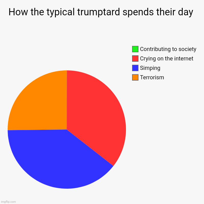 How the typical trumptard spends their day | Terrorism , Simping, Crying on the internet , Contributing to society | image tagged in charts,pie charts,scumbag republicans,terrorists,terrorism | made w/ Imgflip chart maker