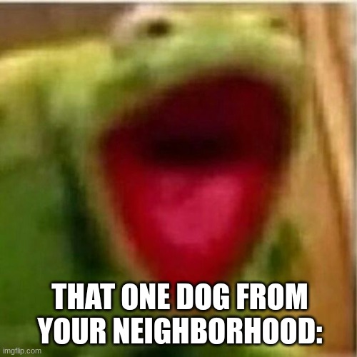 AHHHHHHHHHHHHH | THAT ONE DOG FROM YOUR NEIGHBORHOOD: | image tagged in ahhhhhhhhhhhhh | made w/ Imgflip meme maker