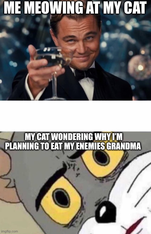 ME MEOWING AT MY CAT; MY CAT WONDERING WHY I’M PLANNING TO EAT MY ENEMIES GRANDMA | image tagged in memes,leonardo dicaprio cheers,tom cat unsettled close up | made w/ Imgflip meme maker