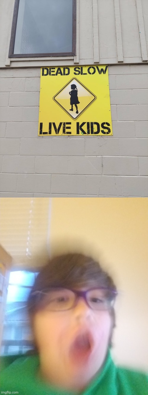 "Dead slow live kids" | image tagged in i'm shocked,kids,you had one job,stupid signs,memes,stupid sign | made w/ Imgflip meme maker