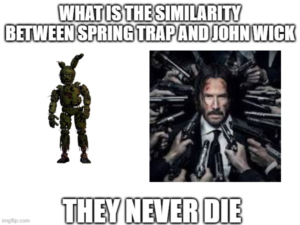 What's the.. | WHAT IS THE SIMILARITY BETWEEN SPRING TRAP AND JOHN WICK; THEY NEVER DIE | image tagged in fnaf,springtrap,john wick,same | made w/ Imgflip meme maker