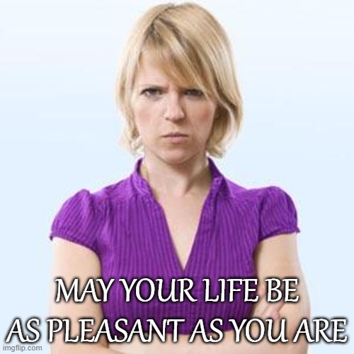 May Your Life Be As Pleasant As You Are | MAY YOUR LIFE BE AS PLEASANT AS YOU ARE | image tagged in angry woman,sarcasm | made w/ Imgflip meme maker