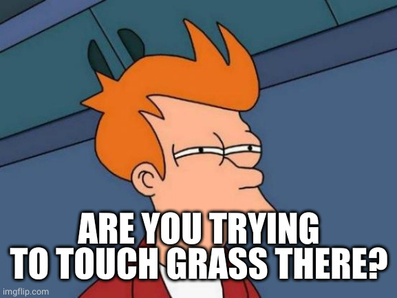 Futurama Fry Meme | ARE YOU TRYING TO TOUCH GRASS THERE? | image tagged in memes,futurama fry | made w/ Imgflip meme maker