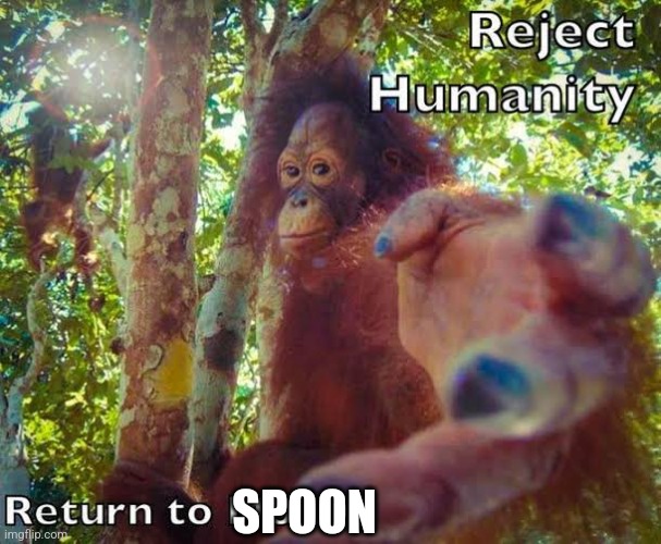Return to monke | SPOON | image tagged in return to monke | made w/ Imgflip meme maker