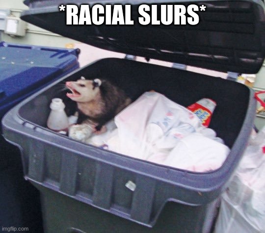 Trash Possum | *RACIAL SLURS* | image tagged in trash possum | made w/ Imgflip meme maker