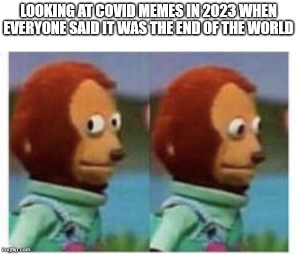 side eye teddy | LOOKING AT COVID MEMES IN 2023 WHEN EVERYONE SAID IT WAS THE END OF THE WORLD | image tagged in side eye teddy | made w/ Imgflip meme maker