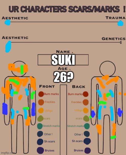 Bored. So here is a very badly done scar/marks chart for Suki! | 26? SUKI | made w/ Imgflip meme maker