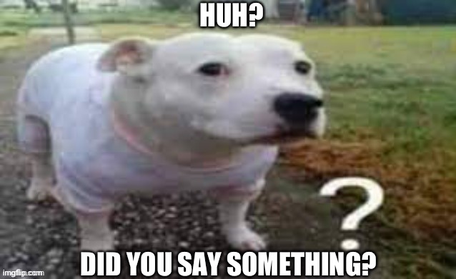 HUH? DID YOU SAY SOMETHING? | made w/ Imgflip meme maker