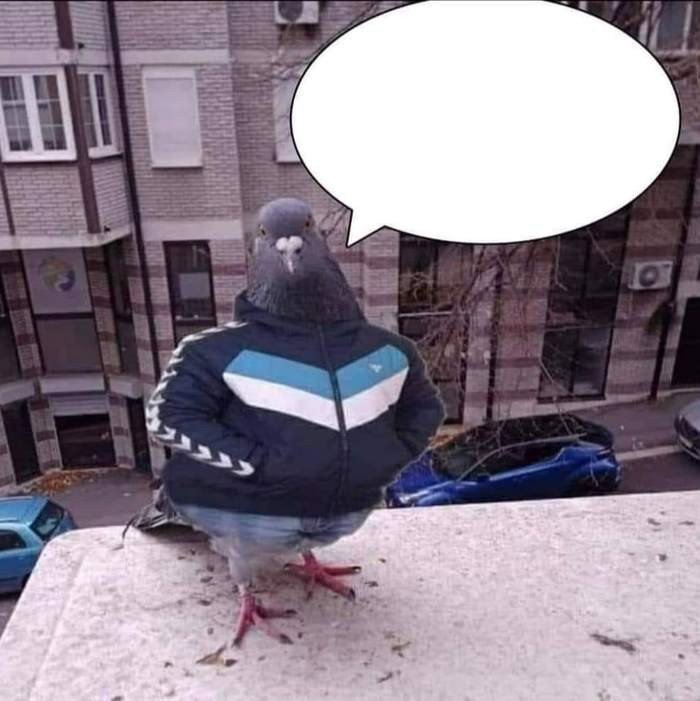 Gopnik Pigeon Blank Meme Template