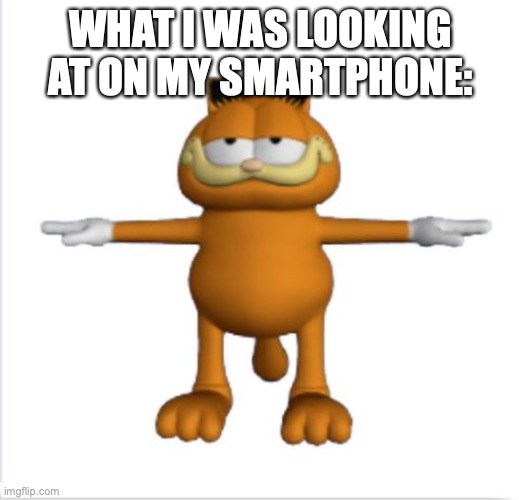 garfield t-pose | WHAT I WAS LOOKING AT ON MY SMARTPHONE: | image tagged in garfield t-pose | made w/ Imgflip meme maker