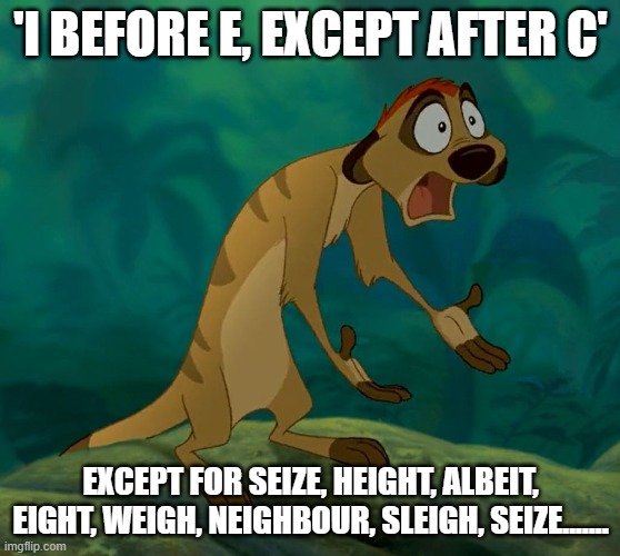 baffled timon | 'I BEFORE E, EXCEPT AFTER C'; EXCEPT FOR SEIZE, HEIGHT, ALBEIT, EIGHT, WEIGH, NEIGHBOUR, SLEIGH, SEIZE....... | image tagged in baffled timon | made w/ Imgflip meme maker